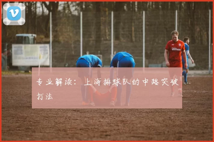 专业解读：上海排球队的中路突破打法