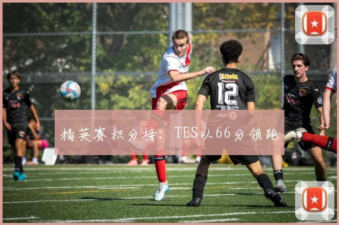 精英赛积分榜：TES以66分领跑
