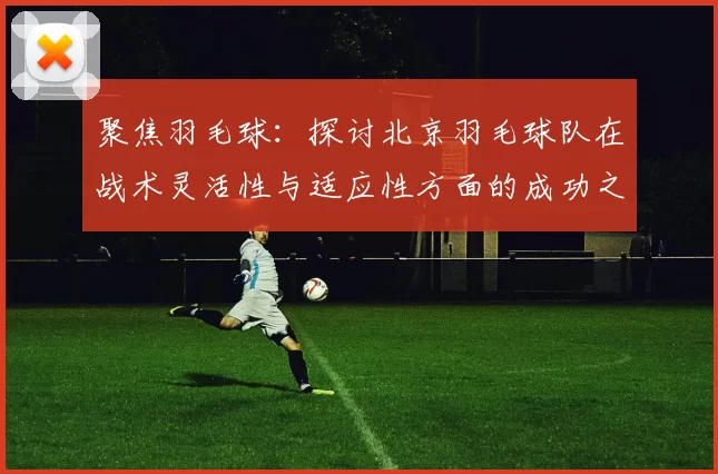 聚焦羽毛球：探讨北京羽毛球队在战术灵活性与适应性方面的成功之道