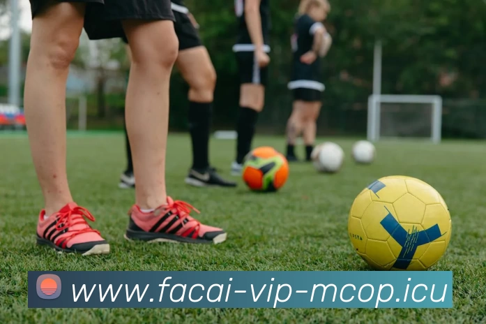 九游体育平台生态图