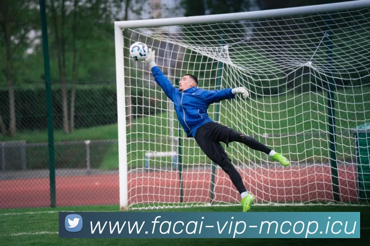 九游体育APP 封面图